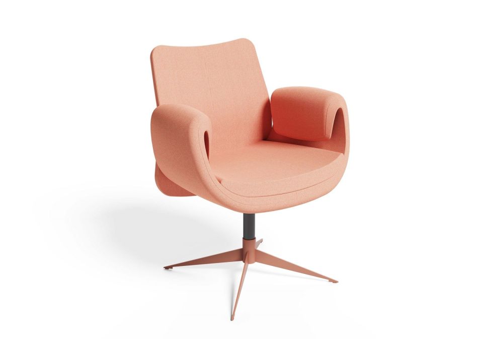 PET MİSAFİR KOLTUĞU