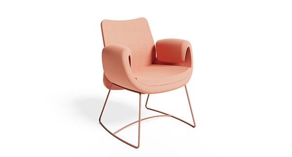 PET MİSAFİR KOLTUĞU