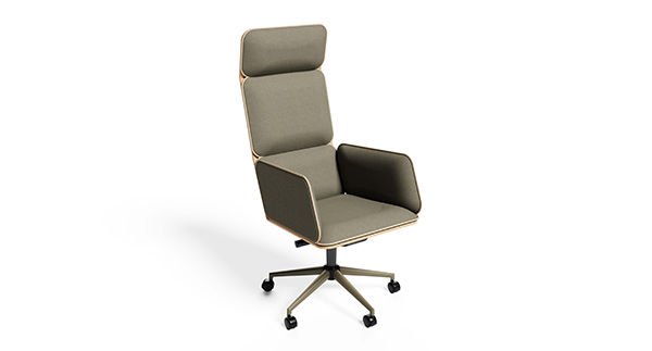 FOLD YÖNETİCİ KOLTUĞU