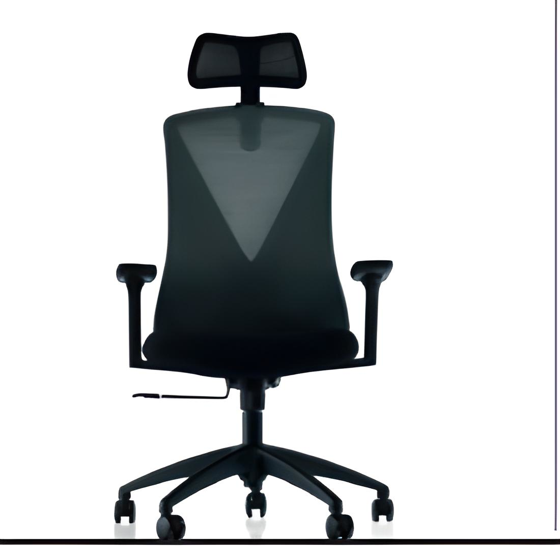 ORFE PA YÖNETİCİ KOLTUĞU