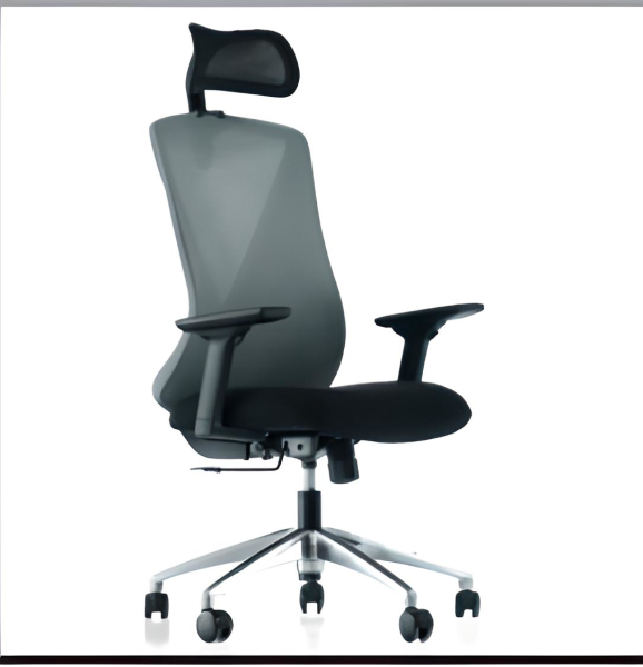 ORFE CA YÖNETİCİ KOLTUĞU