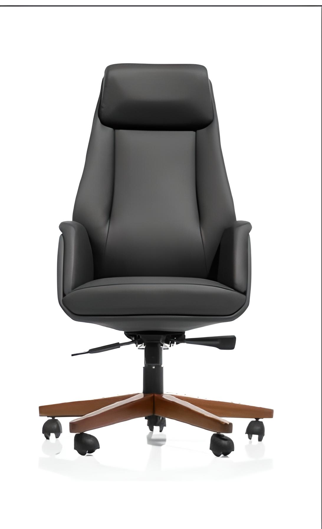 VIENNA N MAKAM KOLTUĞU