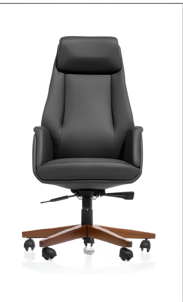 VIENNA N MAKAM KOLTUĞU