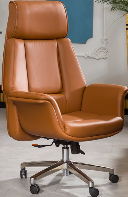 Gia Yönetici Koltuğu