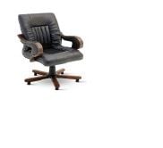 Carisma Misafir Koltuğu