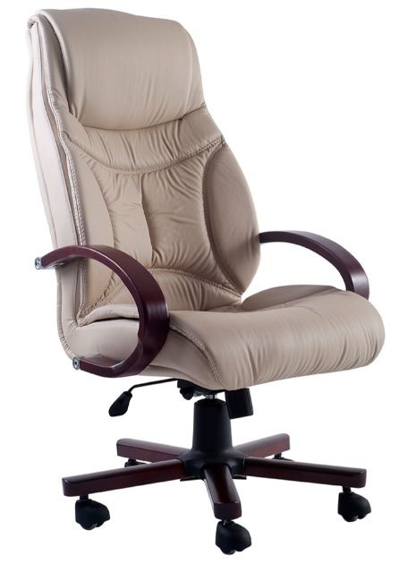 Poyraz Yönetici Koltuğu