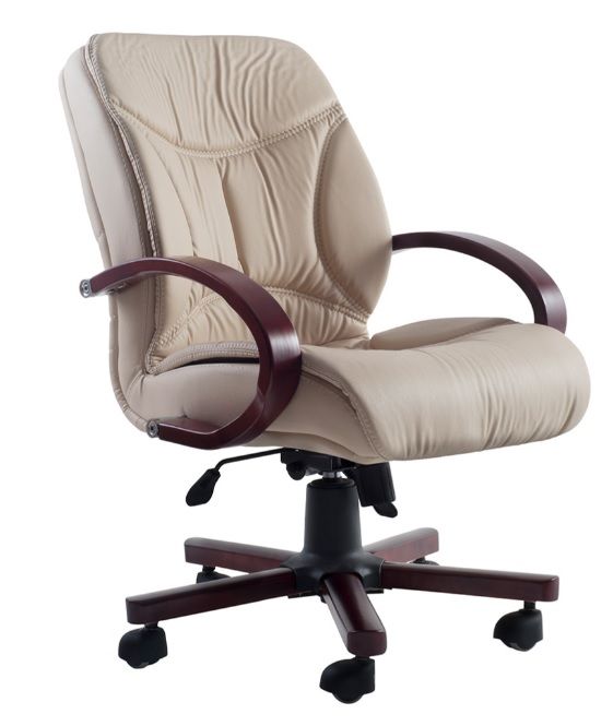 Poyraz Çalışma Koltuğu