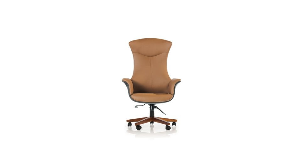 PALMA N MAKAM KOLTUĞU