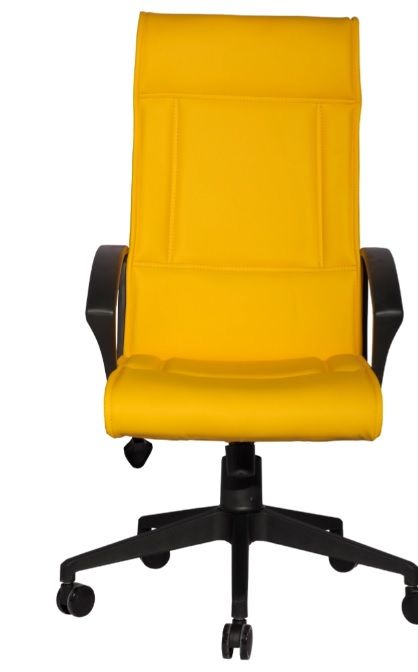 Mita Yönetici Koltuğu