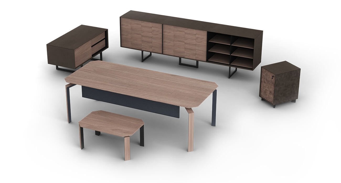 Hegel Yönetici Masası