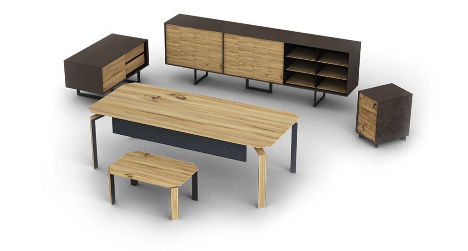 Hegel Yönetici Masası