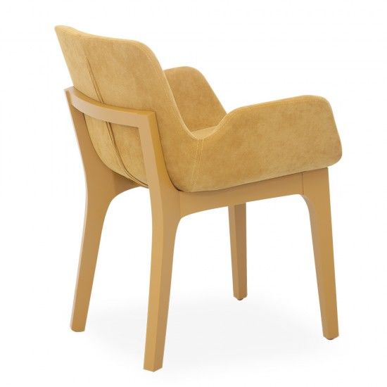 Pass Bekleme Koltuğu (Bel Destekli)