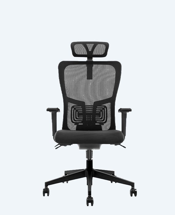 Lumbar Yönetici Koltuğu