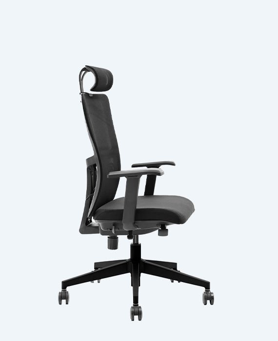 Lumbar Yönetici Koltuğu