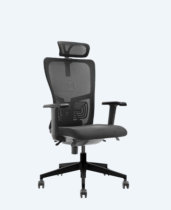 Lumbar Çalışma Koltuğu