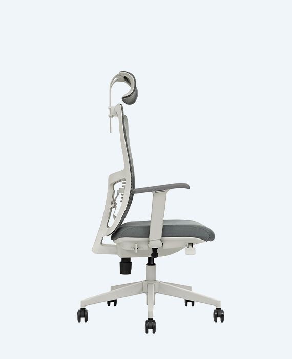 Lumbar Çalışma Koltuğu