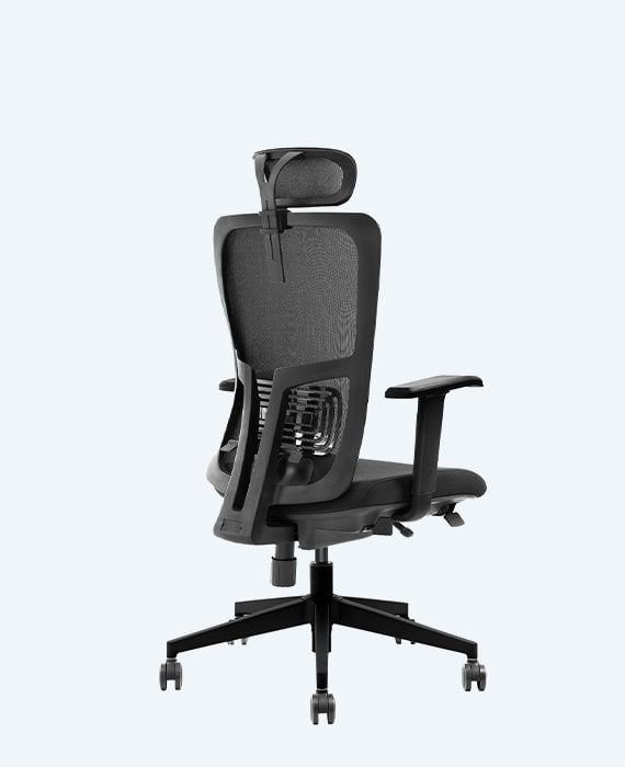 Lumbar Çalışma Koltuğu