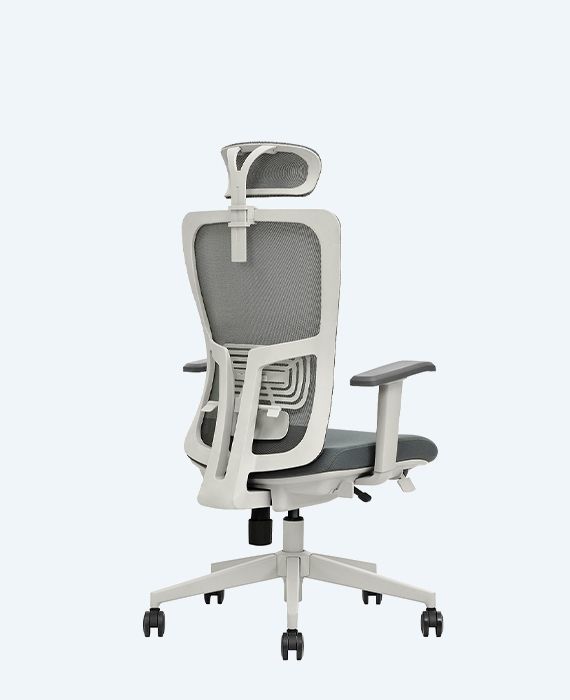 Lumbar Çalışma Koltuğu