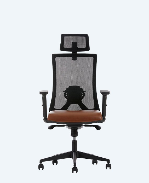 Albina File Yönetici Koltuğu