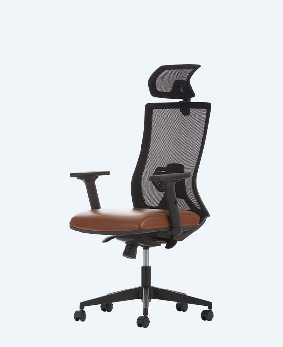 Albina File Yönetici Koltuğu