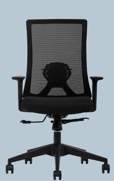 Albina File Çalışma Koltuğu