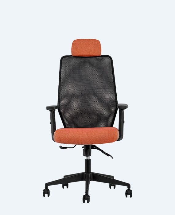 Zeno Yönetici Koltuğu