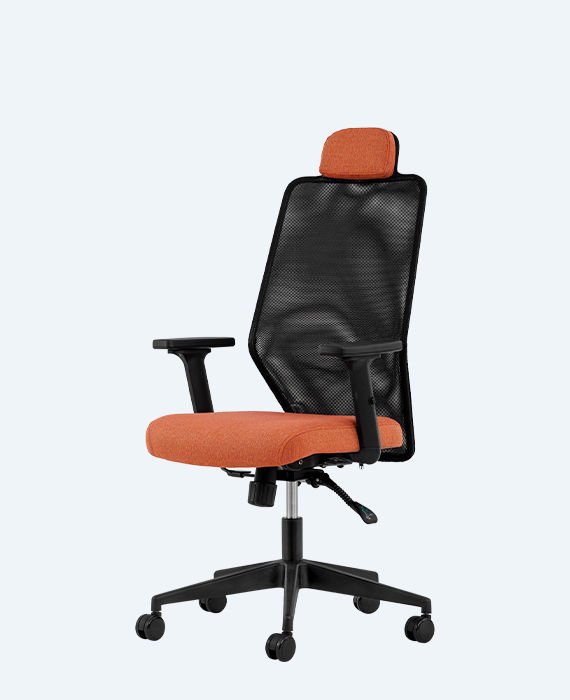 Zeno Yönetici Koltuğu