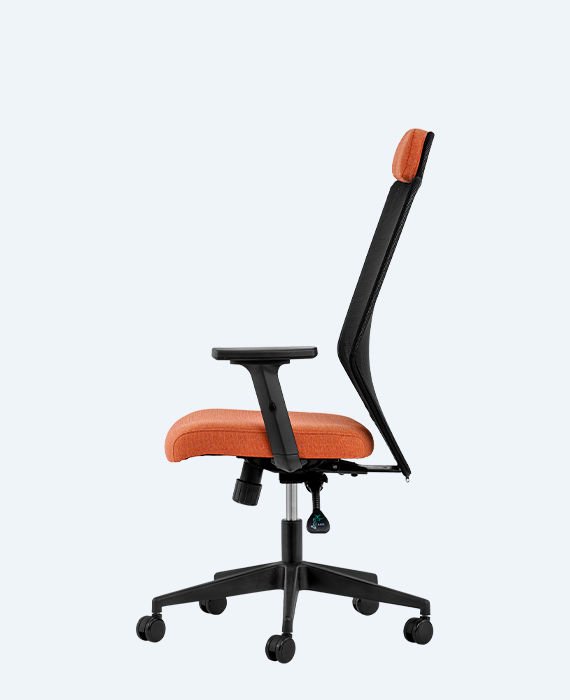 Zeno Yönetici Koltuğu