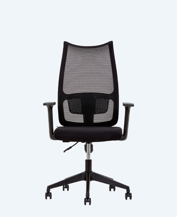 Lucas Çalışma Koltuğu