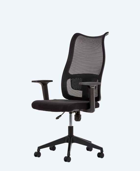 Lucas Çalışma Koltuğu