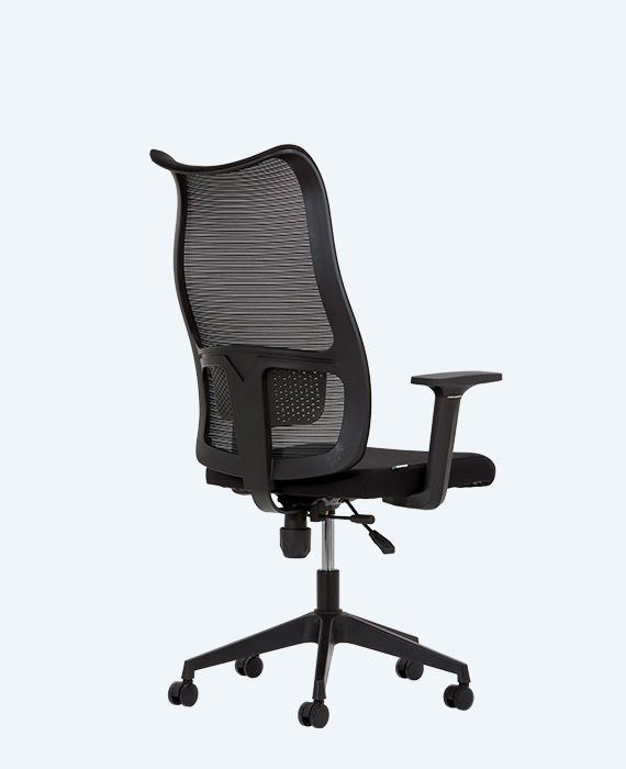 Lucas Çalışma Koltuğu