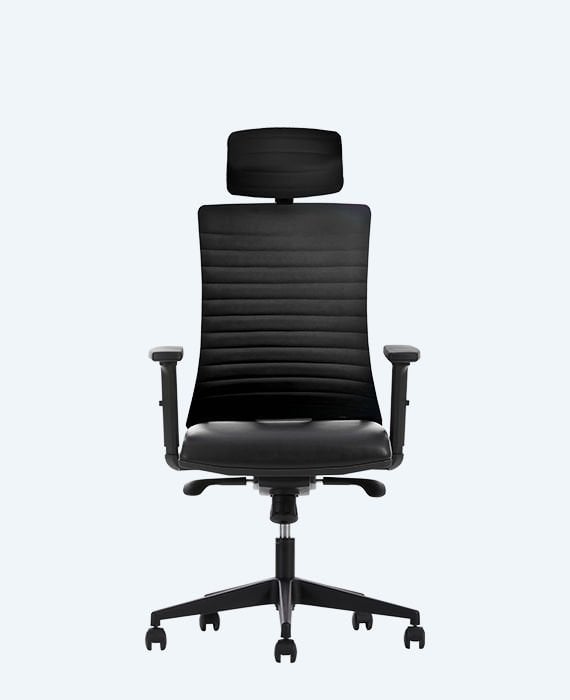 Albina Deri Yönetici Koltuğu