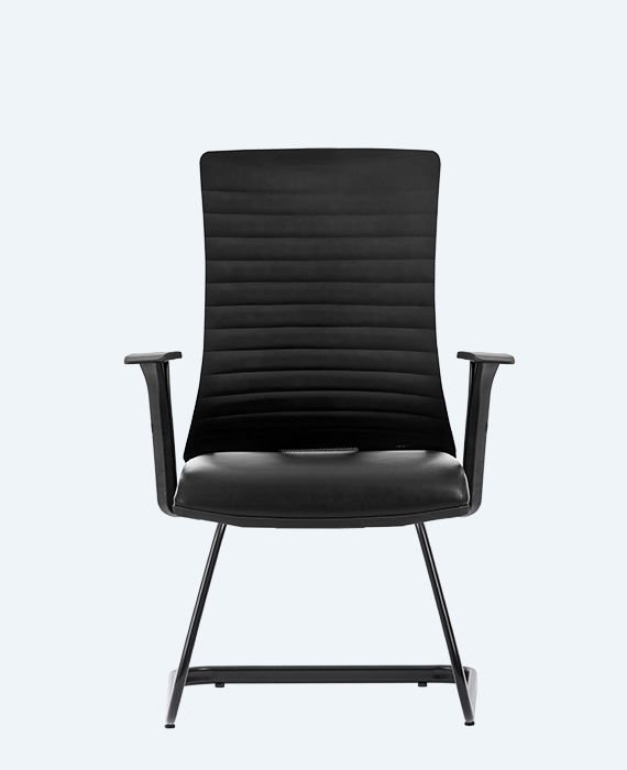 Albina Deri Bekleme Koltuğu