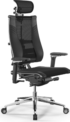 Yoga 4D Triumph Spinal Yönetici Koltuğu