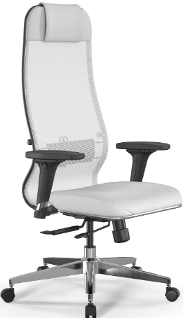 Ergolife Synchrosit 10 Ergonomic Yönetici Koltuğu
