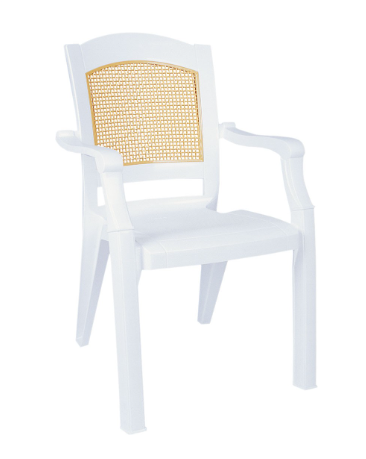 Siesta Modern Sandalye