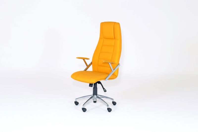 CAPRİ MÜDÜR KOLTUĞU