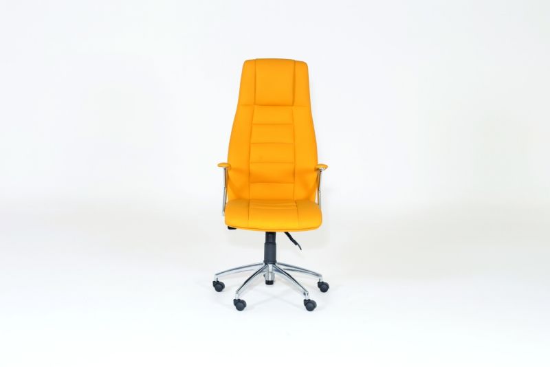 CAPRİ MÜDÜR KOLTUĞU