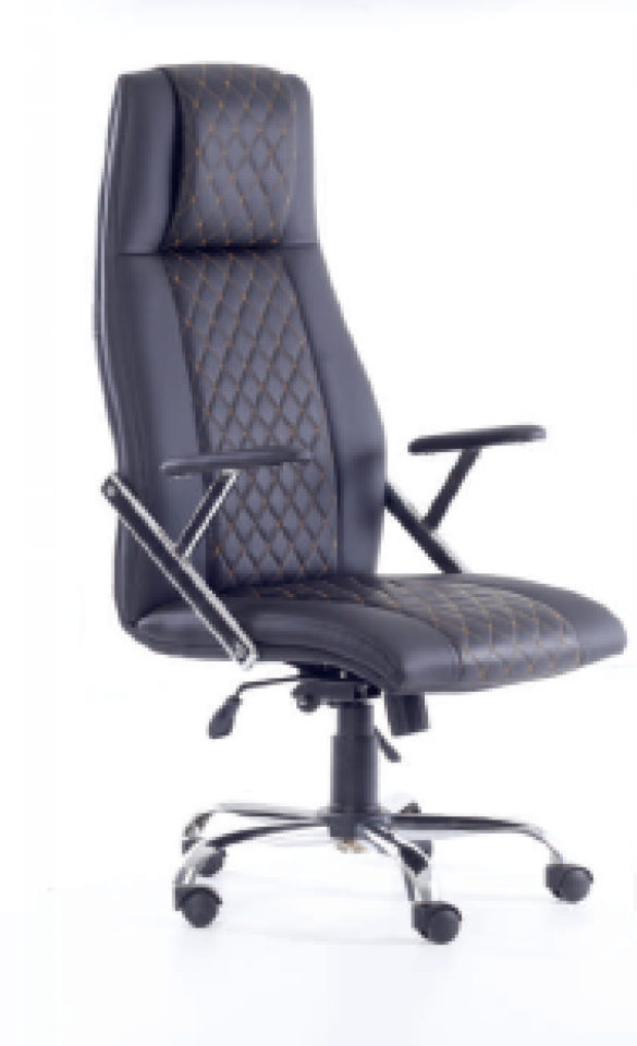 CAPRİ MÜDÜR KOLTUĞU