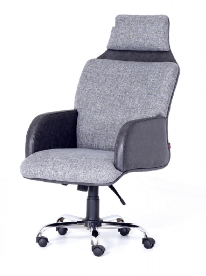 NEPTÜN MÜDÜR KOLTUK