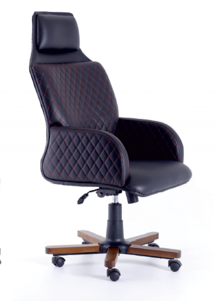 NEPTÜN MÜDÜR KOLTUK