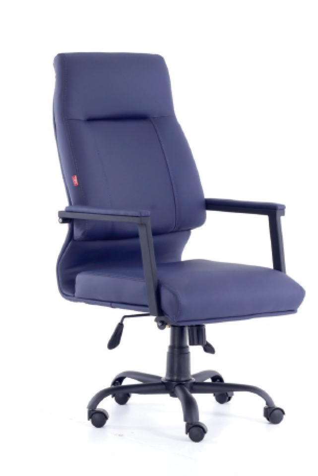 SANTA MÜDÜR KOLTUĞU