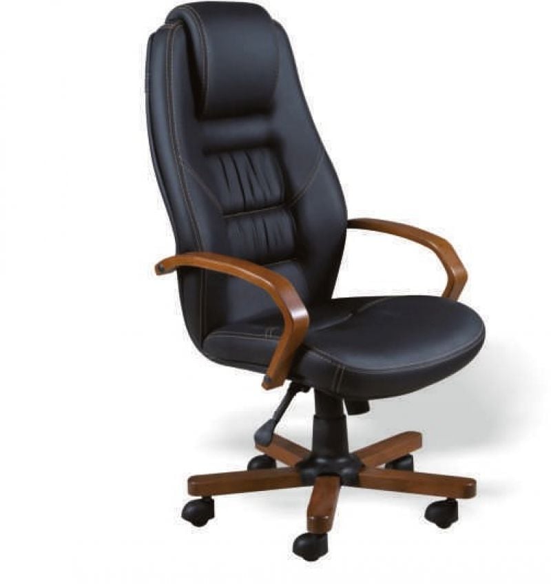 ŞAH MÜDÜR KOLTUĞU