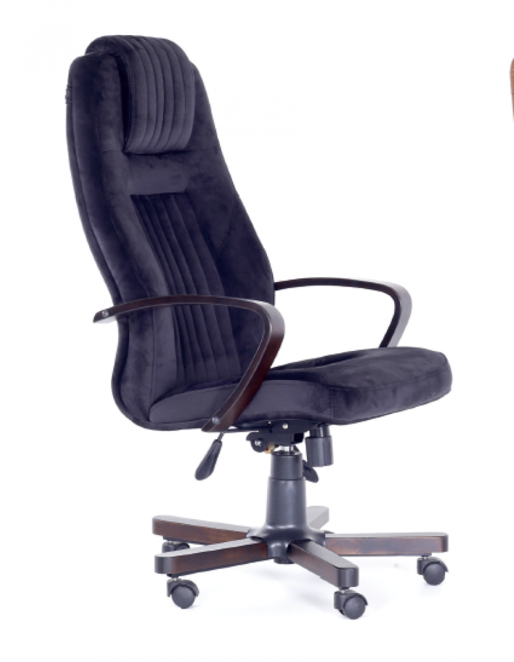 KUZEY MÜDÜR KOLTUĞU