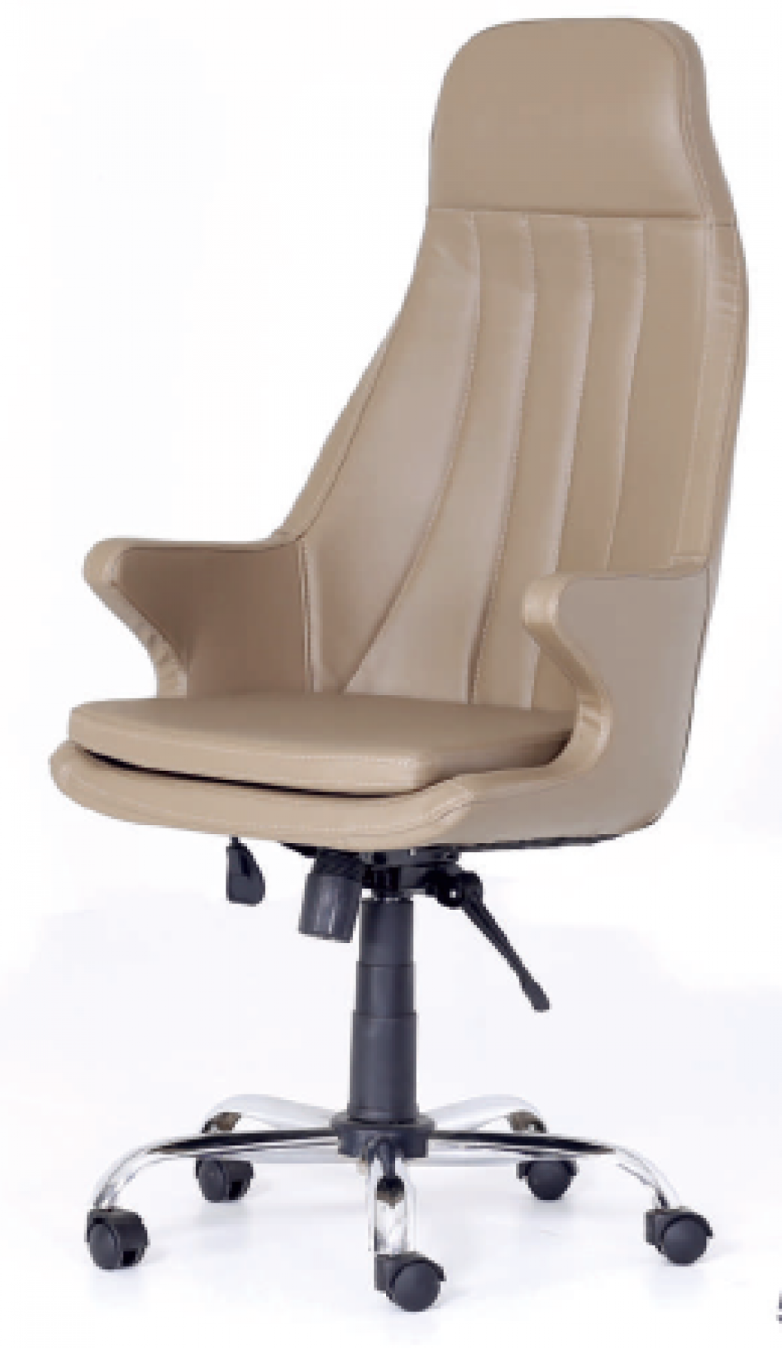 LEYDİ MÜDÜR KOLTUĞU