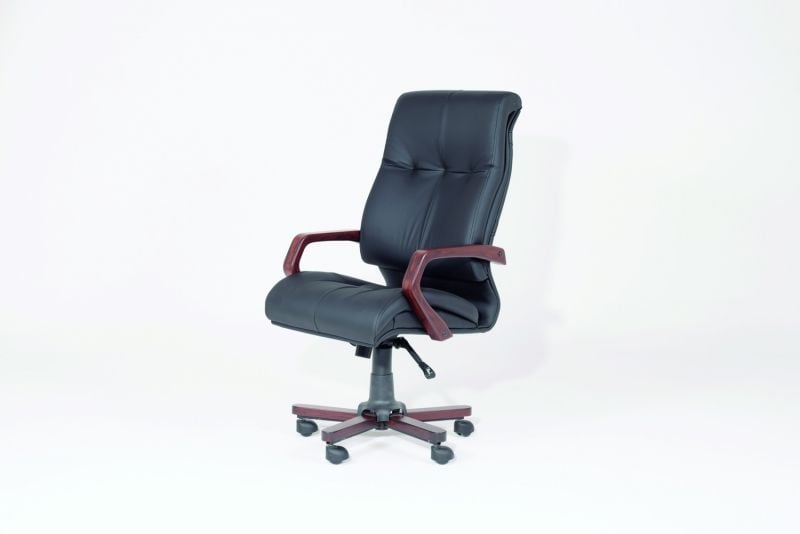 ELEGANT MÜDÜR KOLTUĞU