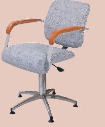 Bayan Kuaför Koltuğu M-039-02