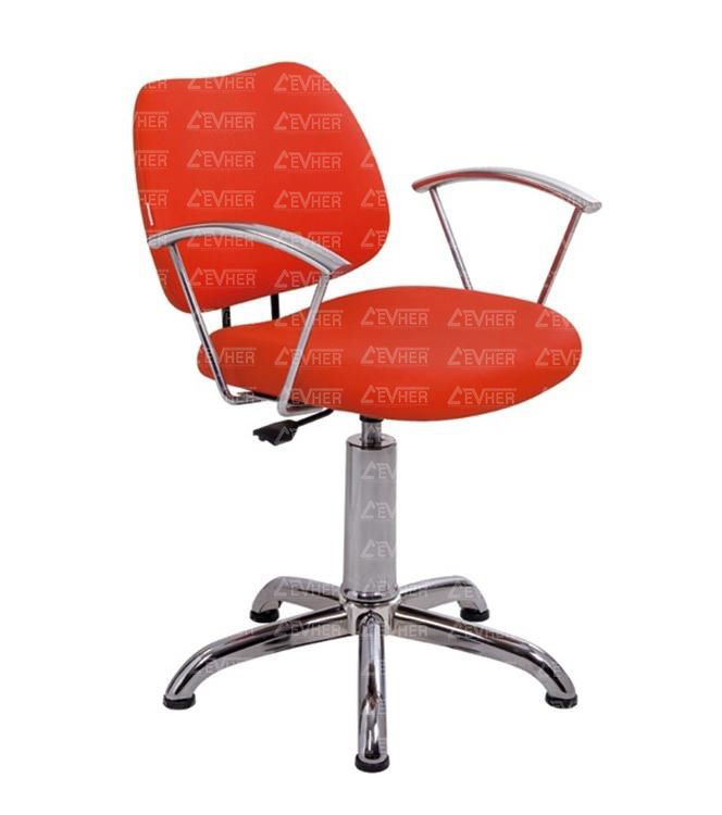 Bayan Koltuğu C-501-06