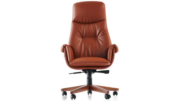 SALDA N MAKAM KOLTUĞU