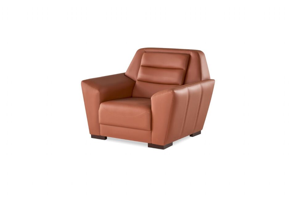 GÖNEN TEKLİ KOLTUK